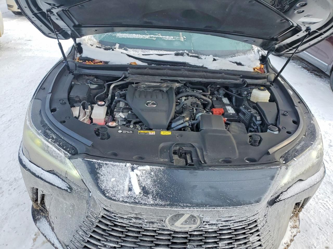 2023 Lexus Rx 350 Base