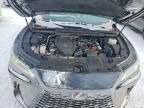 2023 Lexus Rx 350 Base