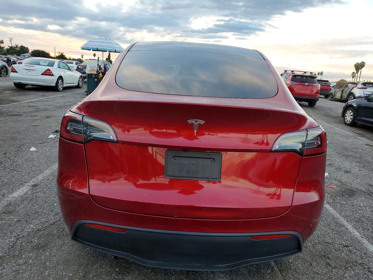 2024 Tesla Model y