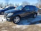 2014 Mercedes-Benz Ml 350 4matic
