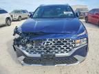 2023 Hyundai Santa fe sel Premium