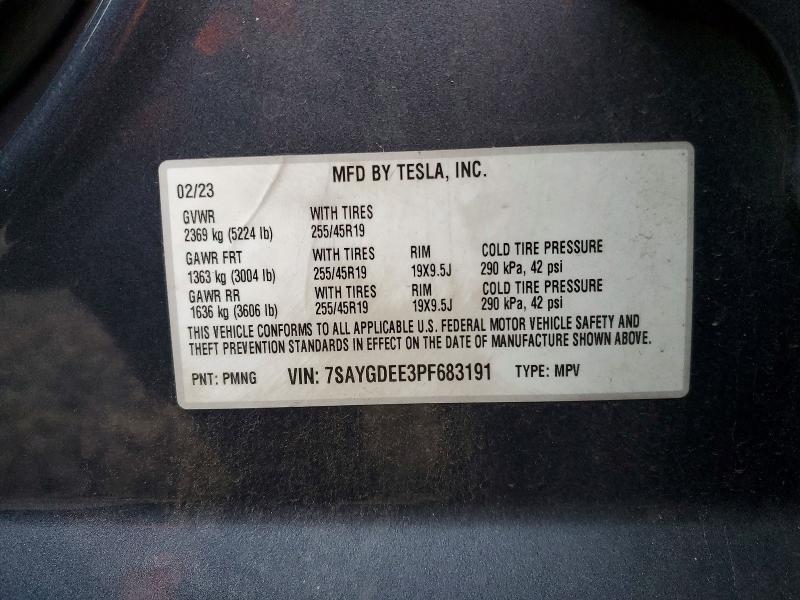 2023 Tesla Model y