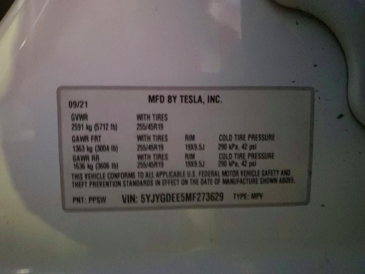 2021 Tesla Model y