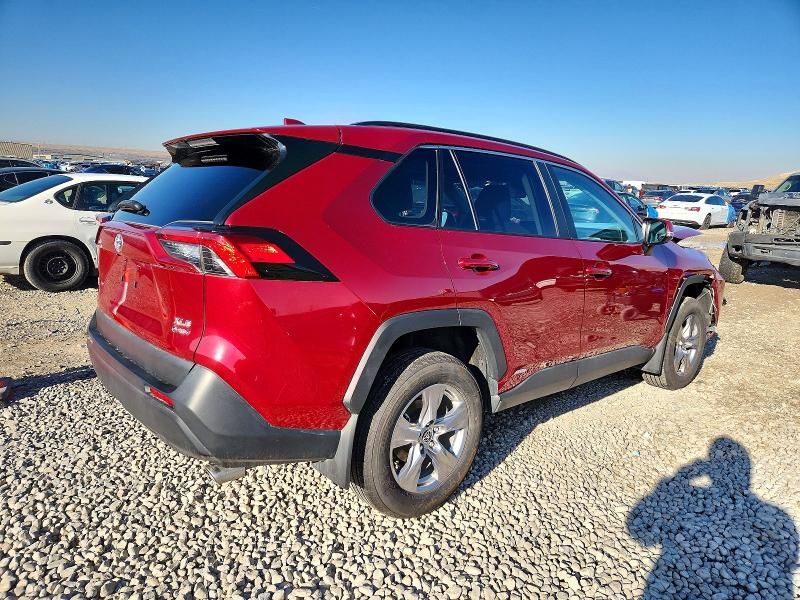 2025 Toyota Rav4 xle