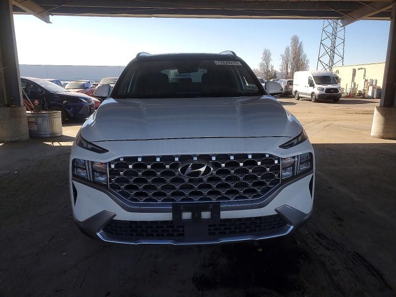2023 Hyundai Santa fe sel Premium