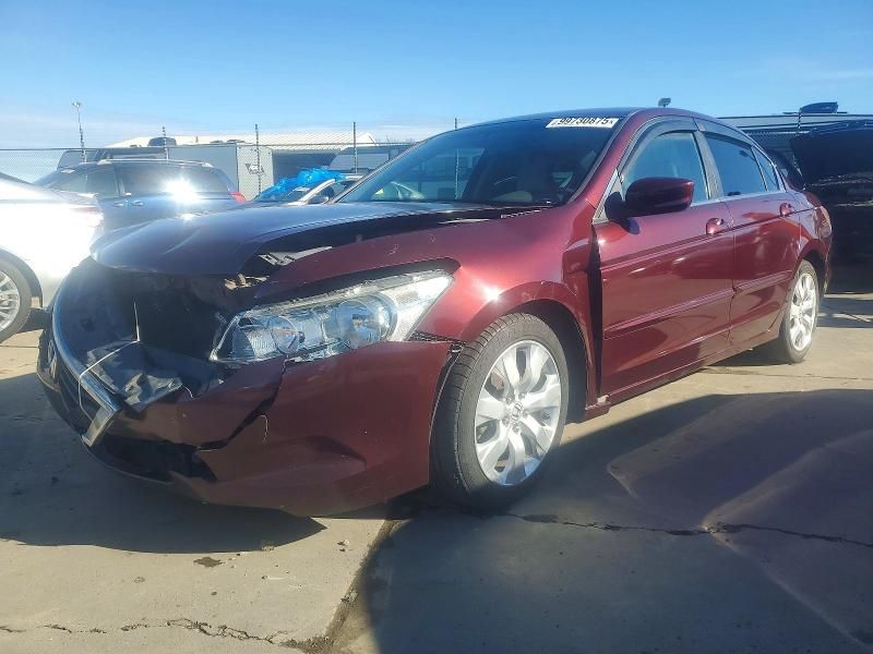 2010 Honda Accord lxp