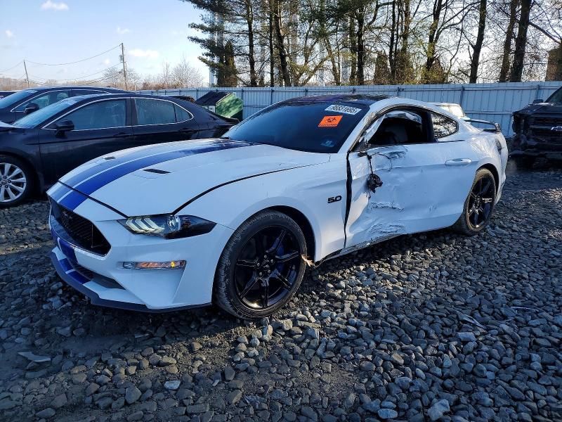 2019 Ford Mustang gt