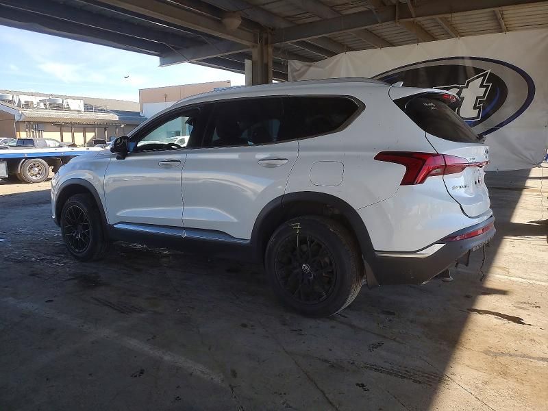 2023 Hyundai Santa fe sel Premium