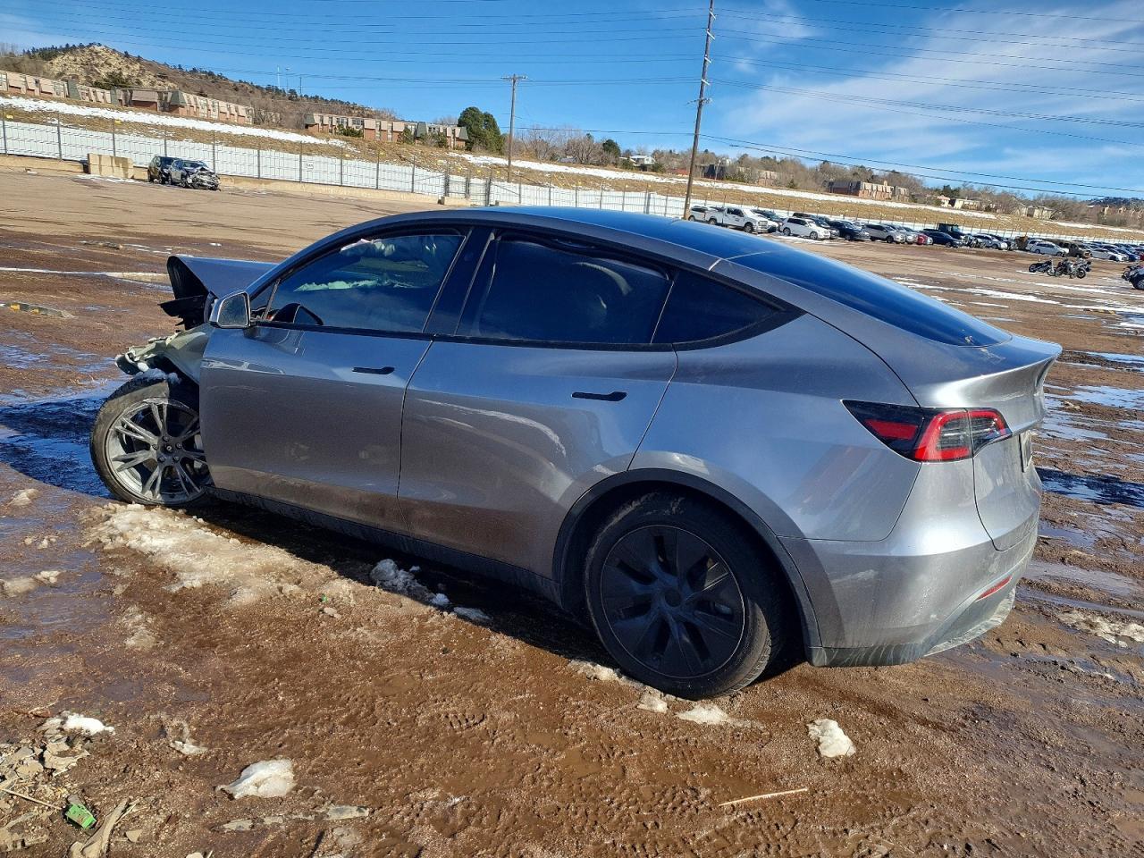 2025 Tesla Model y