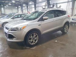 Salvage cars for sale from Copart Ham Lake, MN: 2015 Ford Escape Titanium