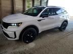 2021 KIA Sorento ex