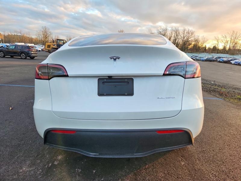 2025 Tesla Model y