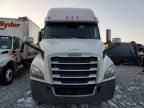 2019 Freightliner Cascadia 116