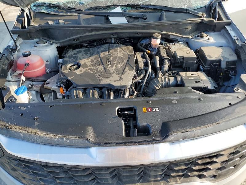 2025 KIA Sportage sx