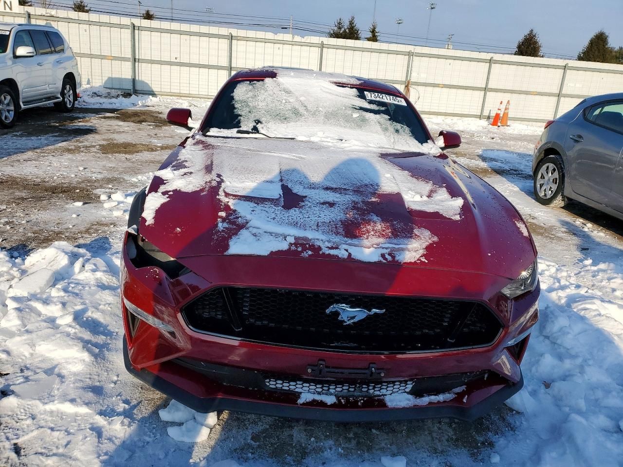 2019 Ford Mustang gt