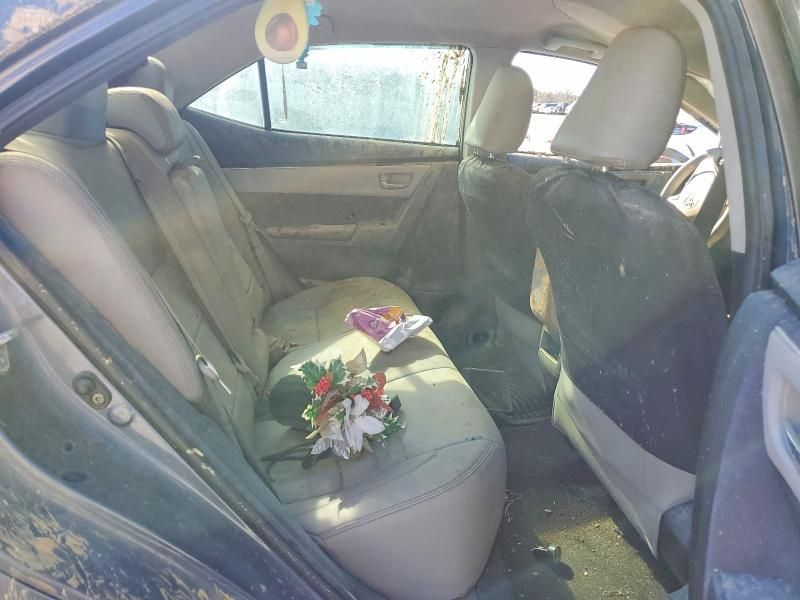 2019 Toyota Corolla l