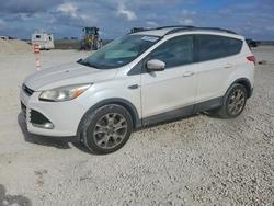 2013 Ford Escape sel en venta en Taylor, TX