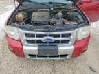 2010 Ford Escape Limited