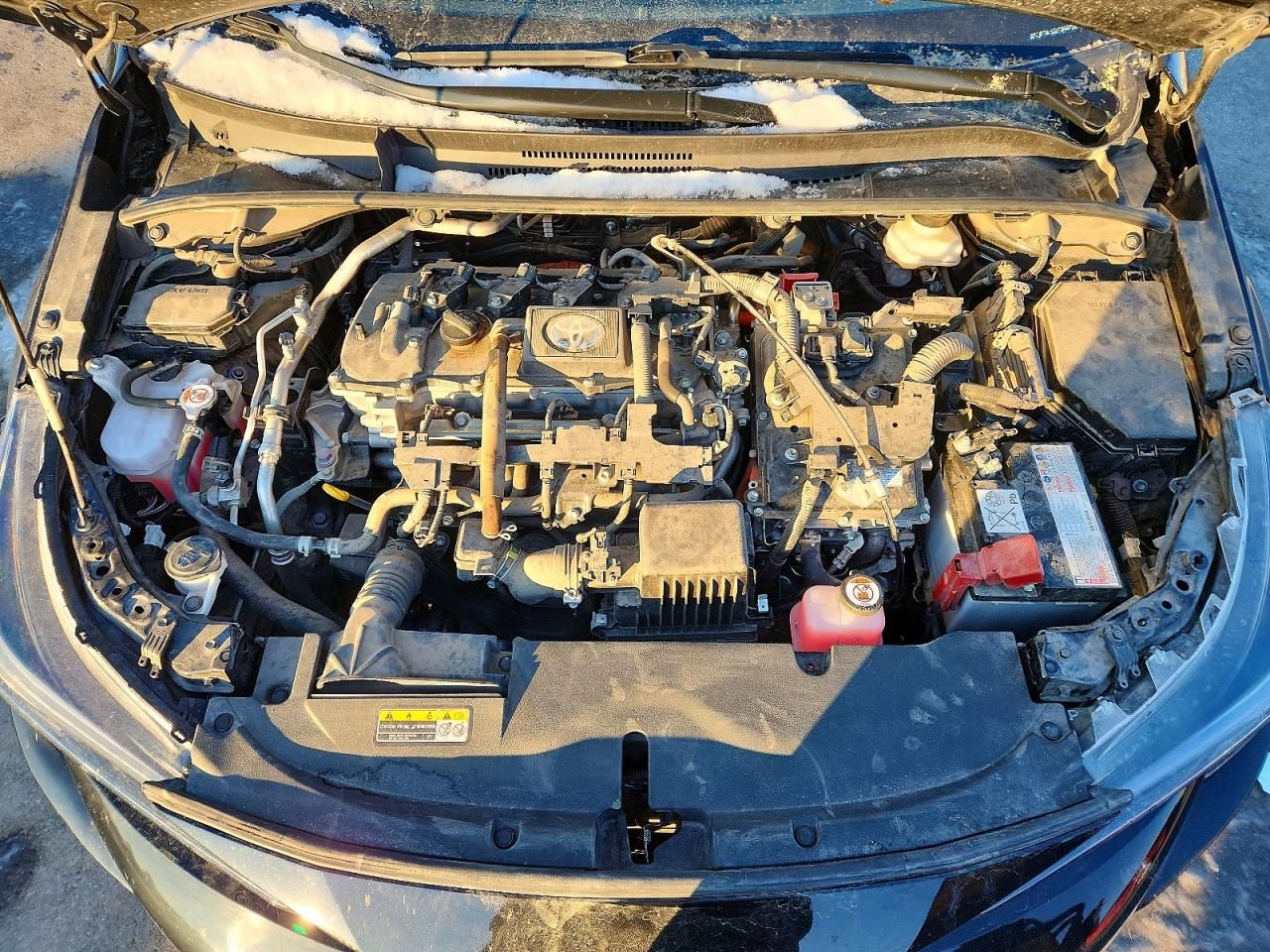 2023 Toyota Corolla le