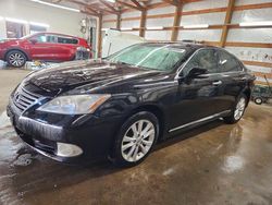 Lexus Vehiculos salvage en venta: 2010 Lexus Es 350