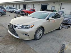 Salvage cars for sale from Copart Louisville, KY: 2016 Lexus Es 350
