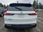 2023 Honda Cr-v exl
