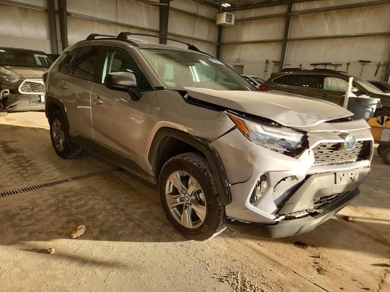 2024 Toyota Rav4 le