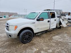 2014 Ford F150 Supercrew for sale in Bismarck, ND