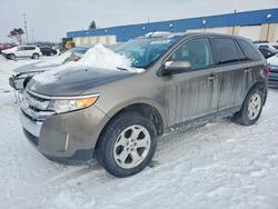Ford Edge sel salvage cars for sale: 2013 Ford Edge sel