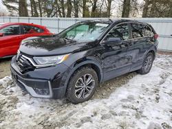 Honda Cr-v ex salvage cars for sale: 2021 Honda Cr-v ex