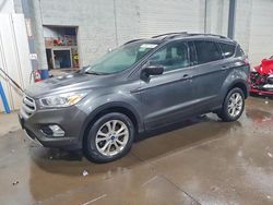 Salvage cars for sale from Copart Ham Lake, MN: 2017 Ford Escape se