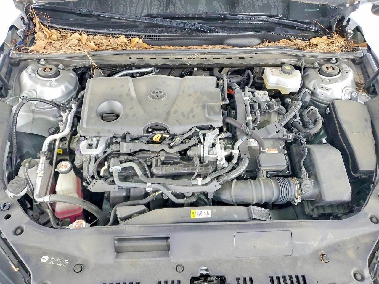 2020 Toyota Avalon xle