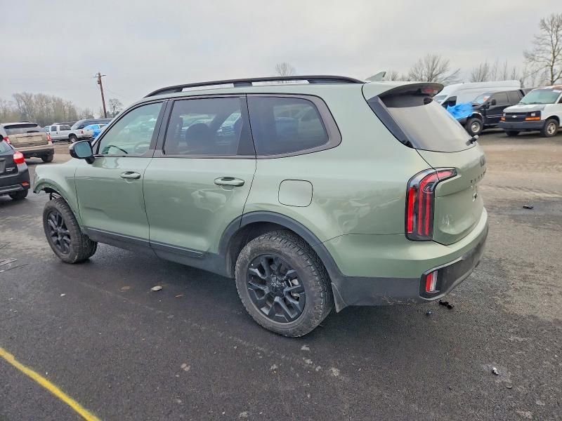 2025 KIA Telluride sx