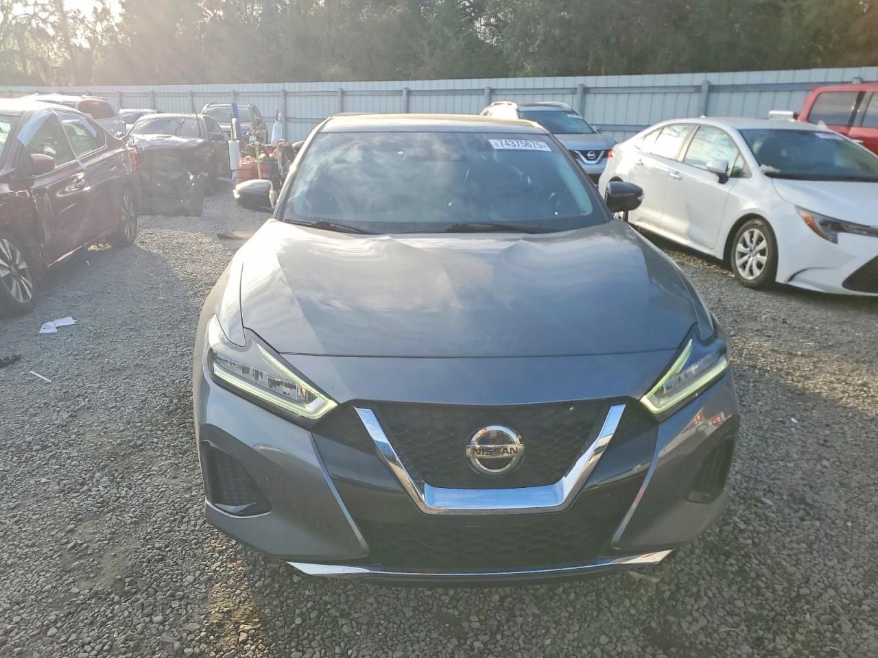 2020 Nissan Maxima sv