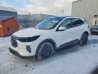 2025 Ford Escape st Line Select