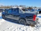 2007 Chevrolet Avalanche K1500