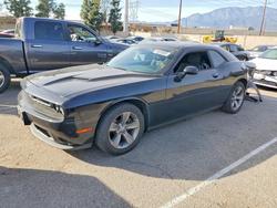 Dodge Vehiculos salvage en venta: 2016 Dodge Challenger sxt