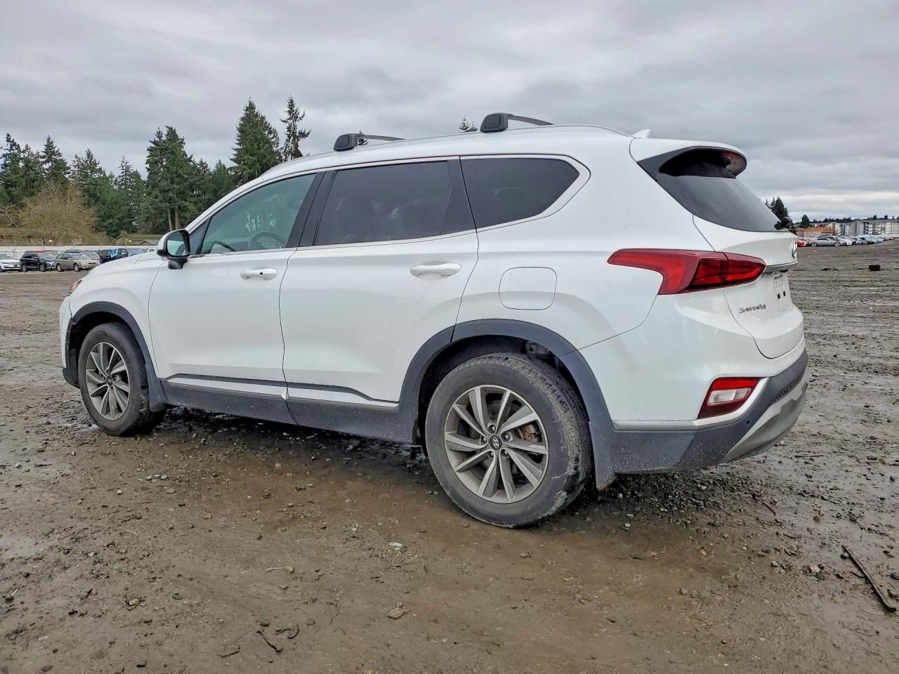 2020 Hyundai Santa fe sel
