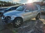 2003 Mercedes-Benz Ml 500