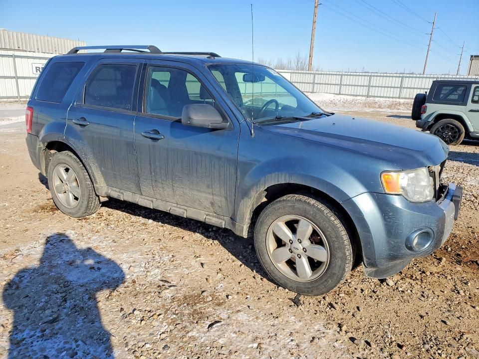 2011 Ford Escape Limited