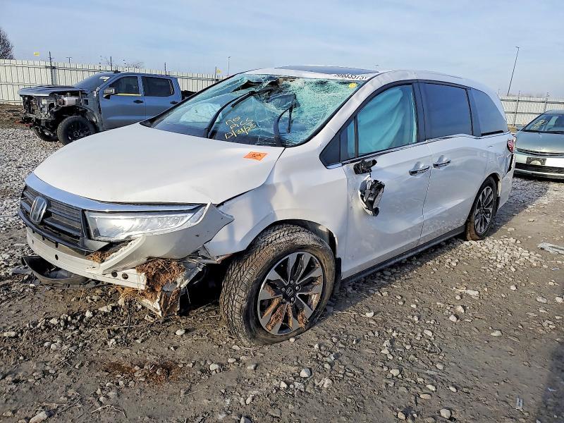 2023 Honda Odyssey exl