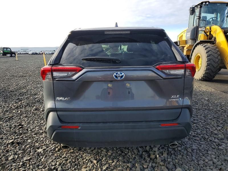 2024 Toyota Rav4 xle