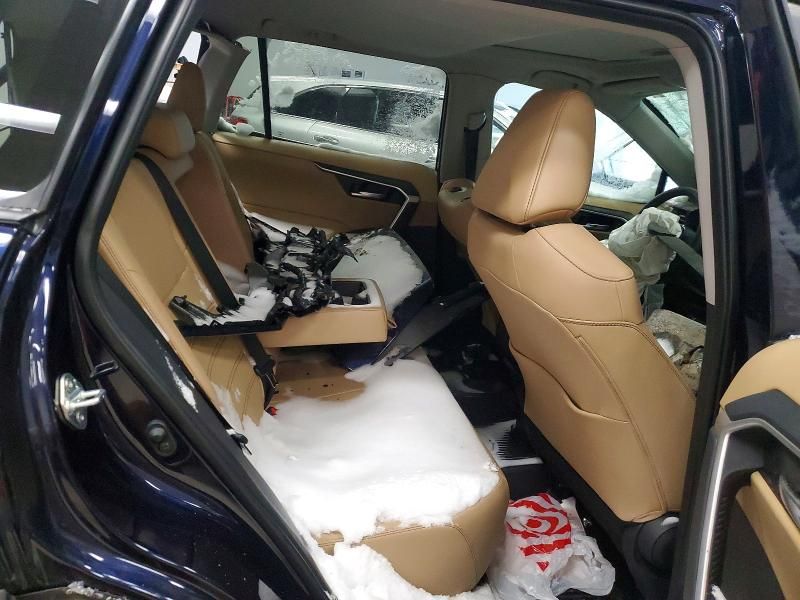 2025 Toyota Rav4 xle Premium