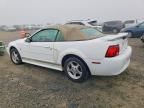 2002 Ford Mustang