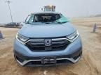 2022 Honda Cr-v exl
