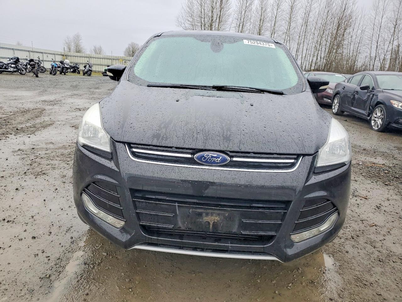 2013 Ford Escape sel