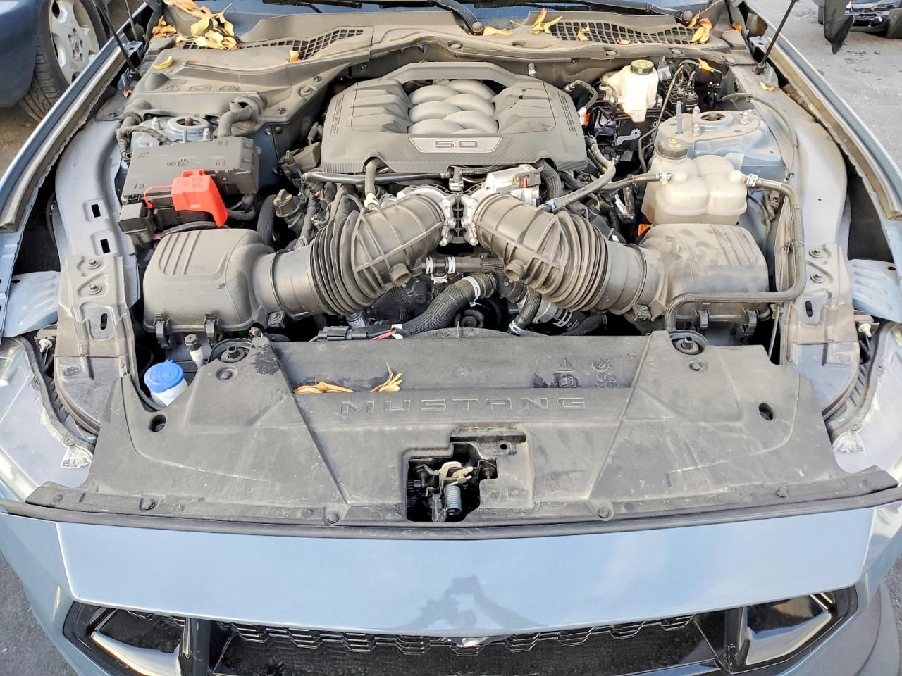 2024 Ford Mustang gt