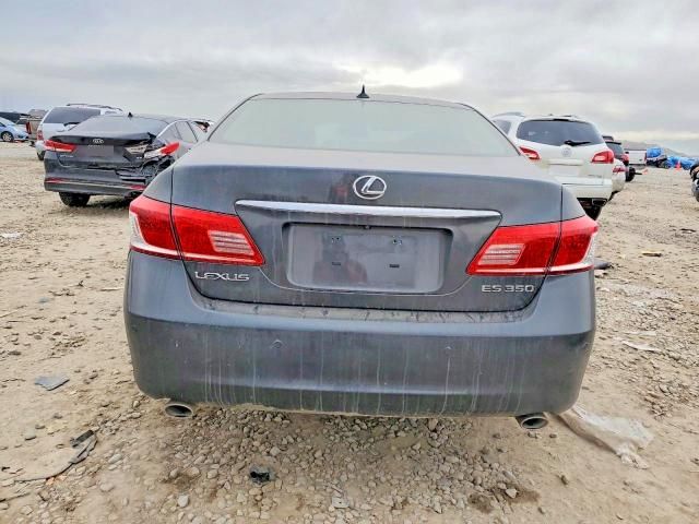 2010 Lexus Es 350