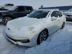 Honda salvage cars for sale: 2016 Honda Accord exl