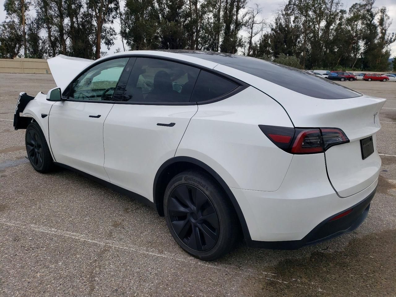 2025 Tesla Model y